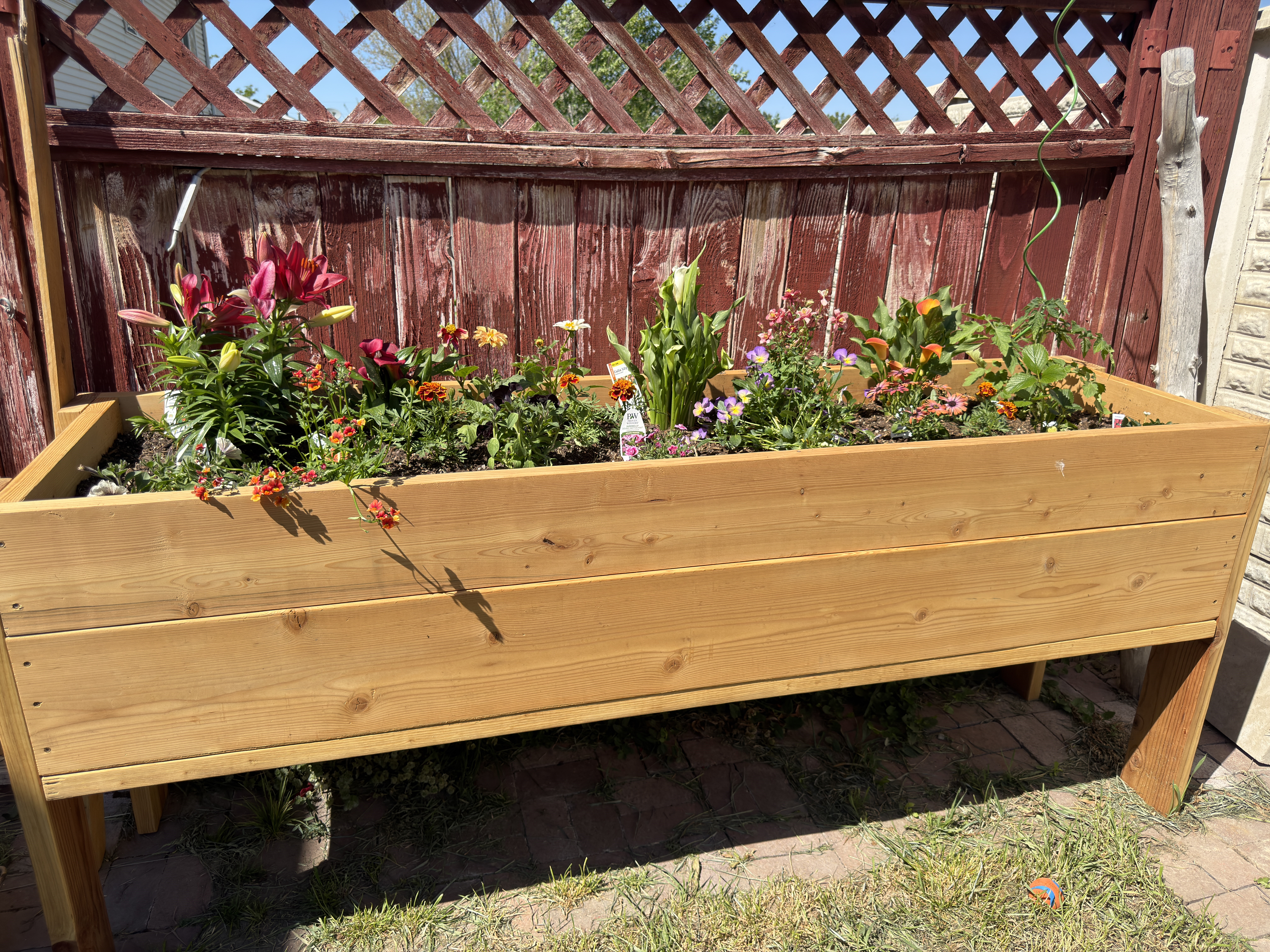 Raised Garden Bed